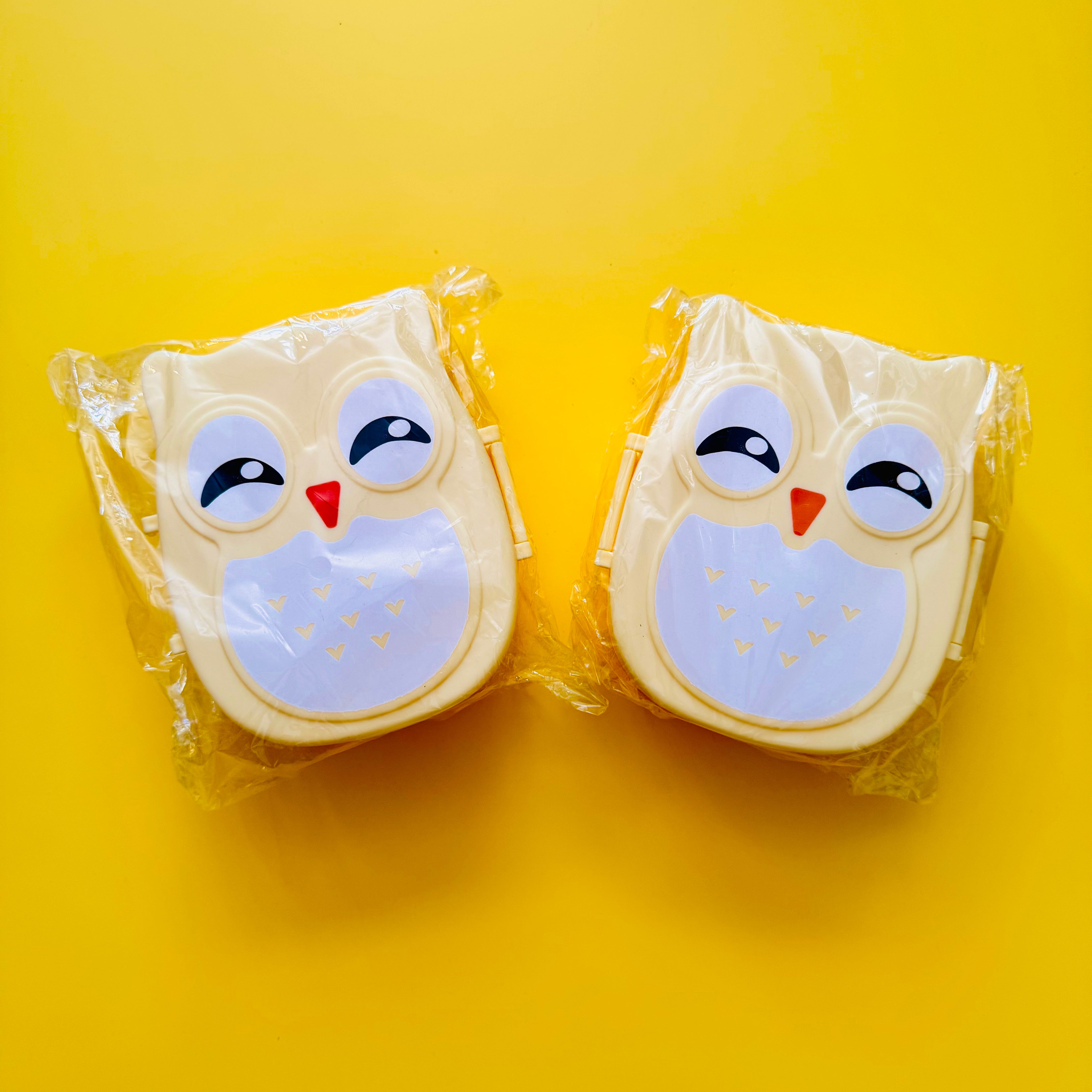 2 Cute Owl Lunchboxes