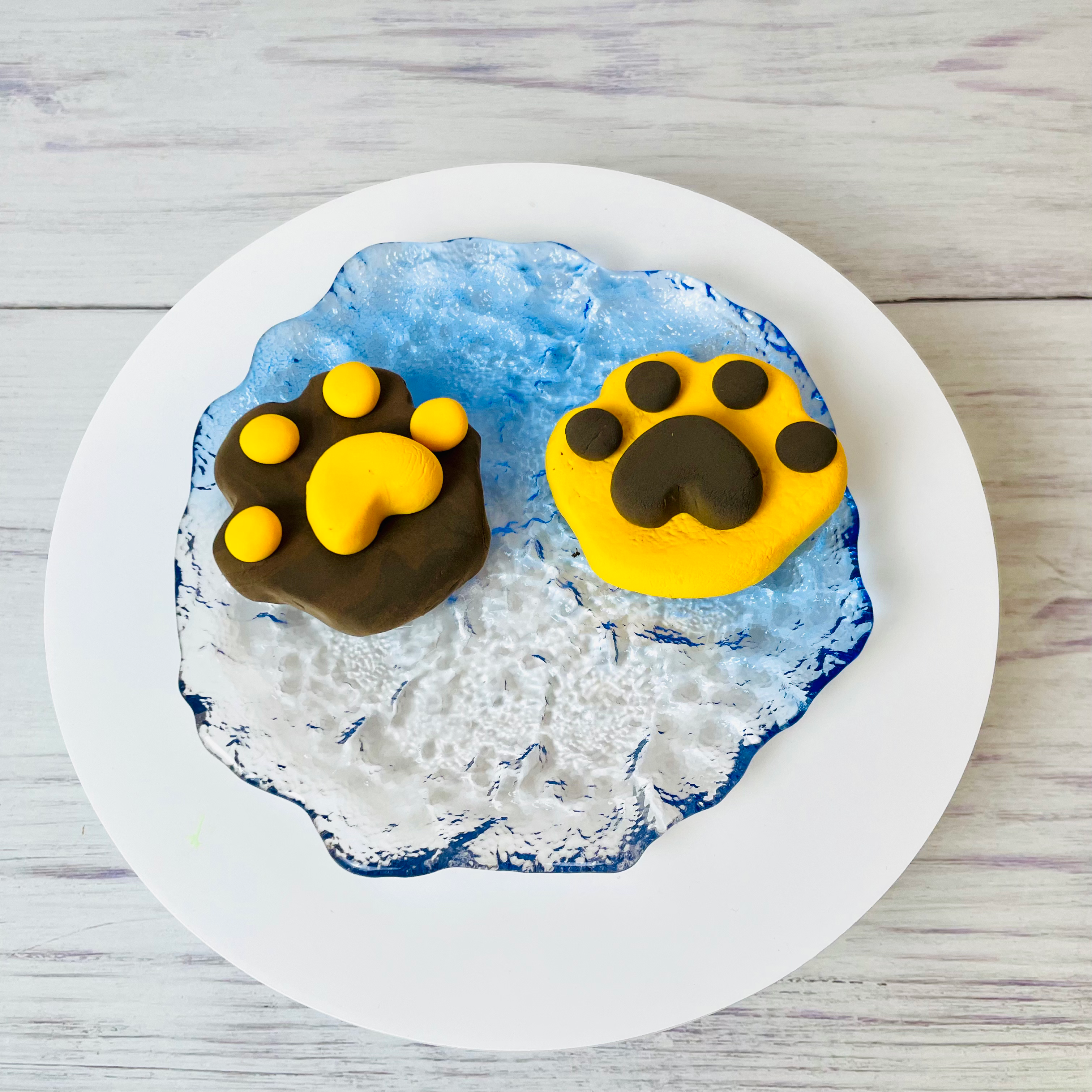 DINO CLAY - Dino’s Lunch Box Bear Biscuits