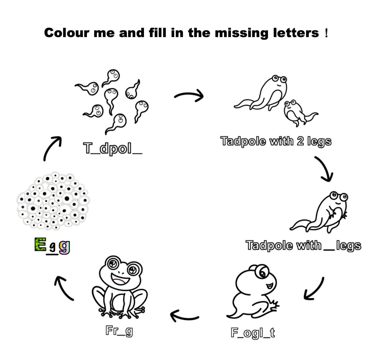 Dino's Tadpole Tales (Frog Lifecycle)
