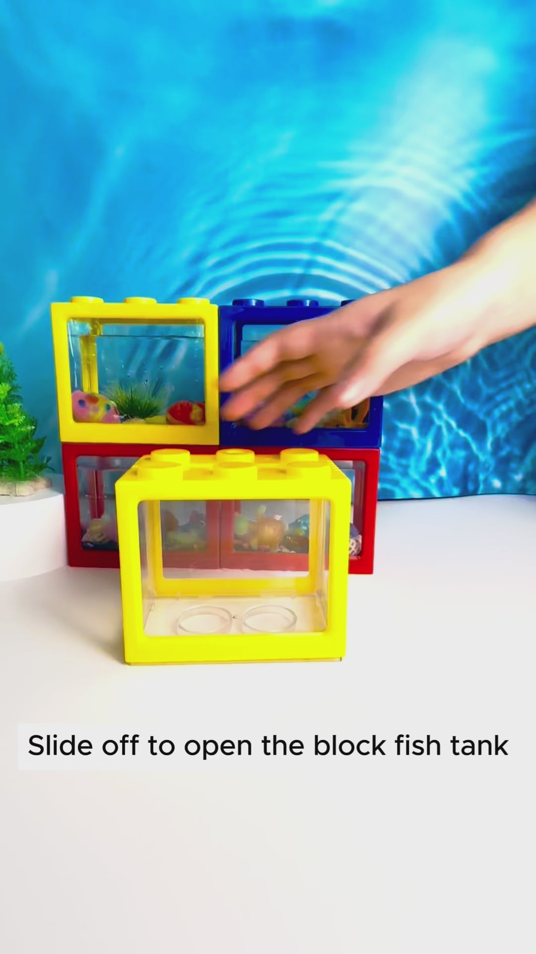 Block Fish Tank for Dino Goo Display